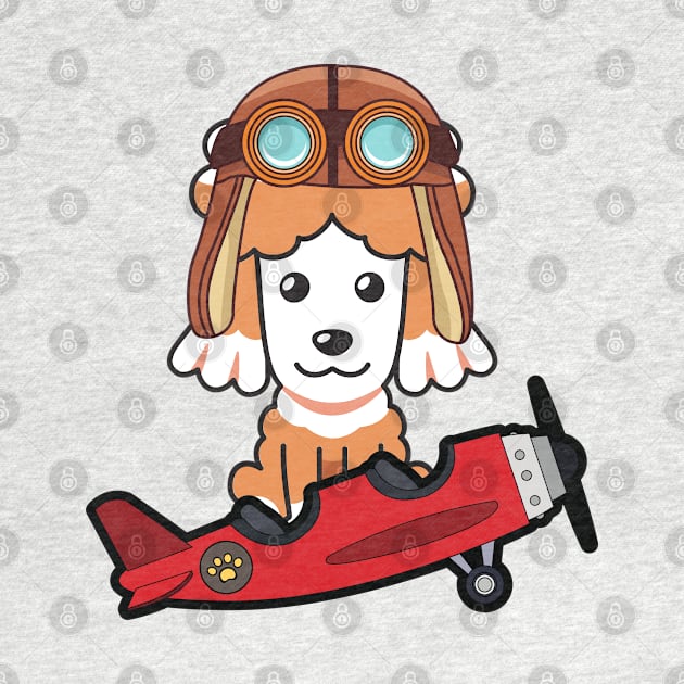 Cute poodle is in a vintage plane by Pet Station